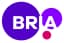 Bria AI